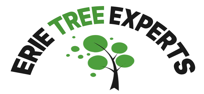 Erie Tree Experts
