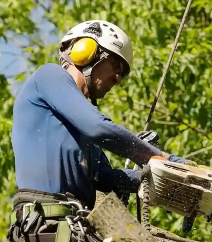 Erie Tree Experts Team